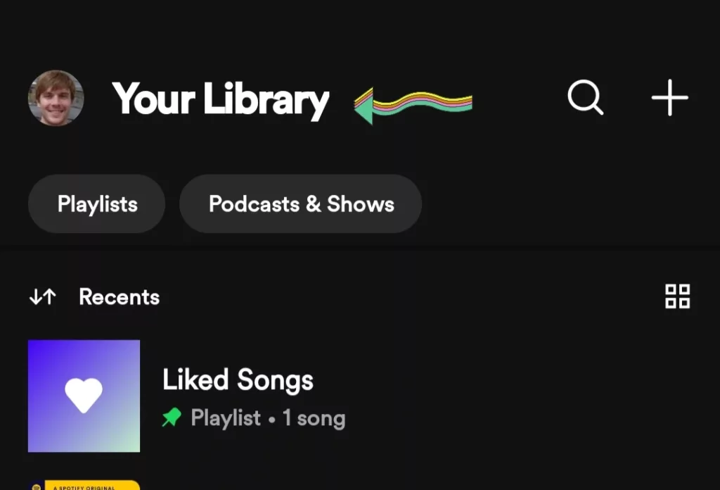 spotify library