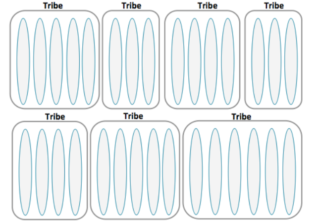 A tribe is a collection of squads that work in related areas – such as the music player, or backend
infrastructure.