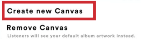 turn on spotify canvas