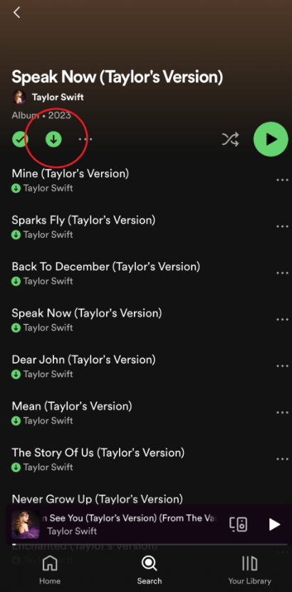 How to Remove Spotify Songs From Downloads
