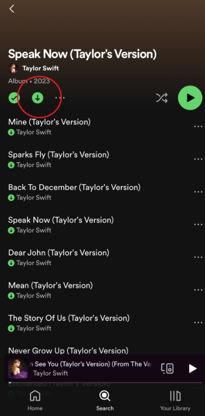 Download Spotify Playlist to MP3