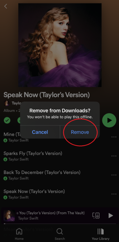 How to Remove Spotify Music From Downloads