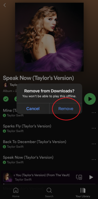 How to Remove Spotify Songs From Downloads