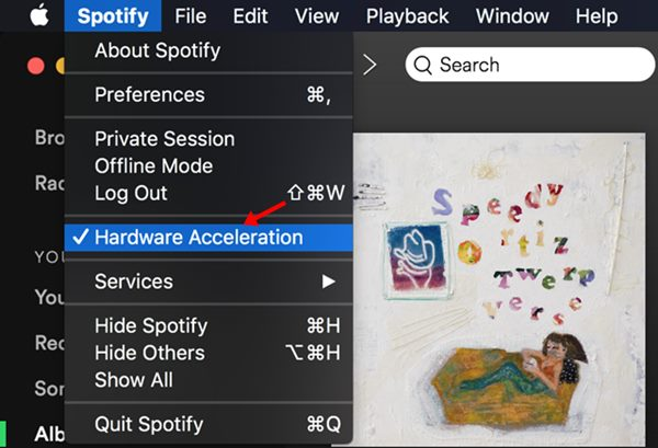 Spotify Hardware Acceleration