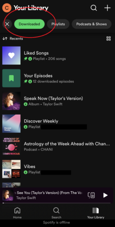Download Spotify Playlist to MP3