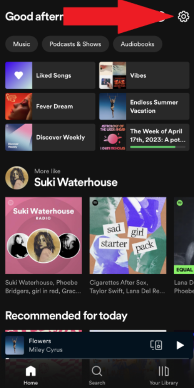 How to Download Music From Spotify