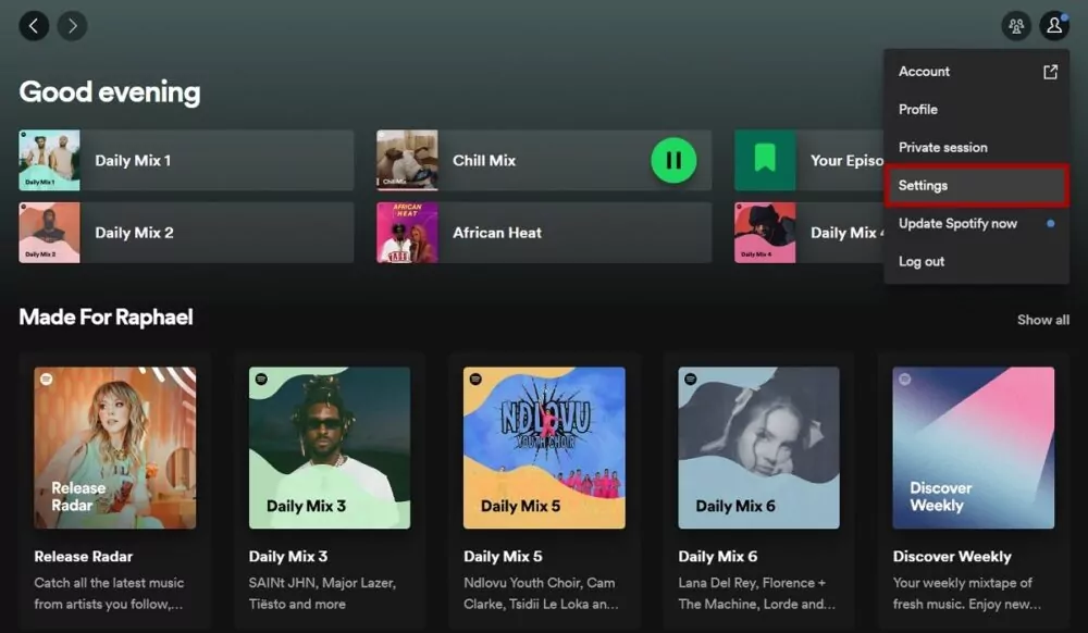 How to Enable or Disable Friend Activity View on Spotify